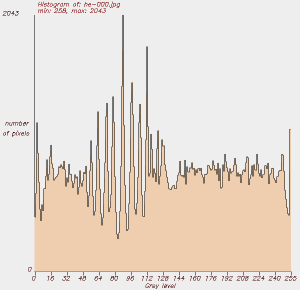 Histogram of enhanced image.