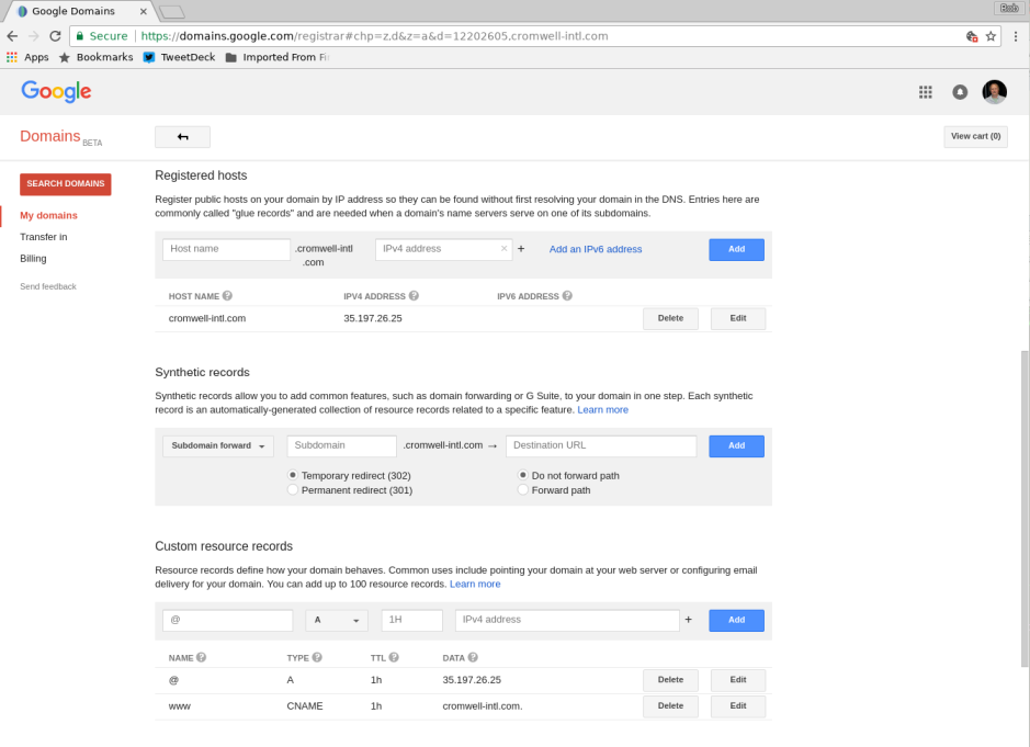 Google Domains settings: DNS address records and setting the time to live.