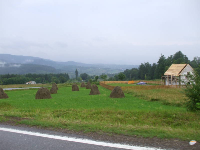 Haystacks in northern Romania.