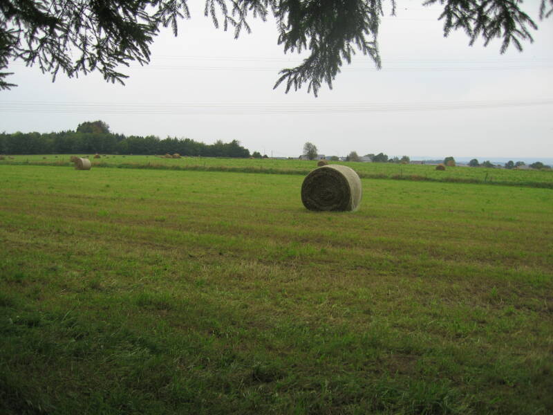 Looking out of the Bois Jacques toward Foy, sight of the Battle of the Bulge.