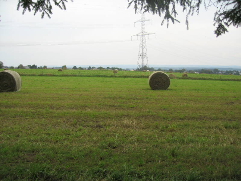 Looking out of the Bois Jacques toward Foy, sight of the Battle of the Bulge.