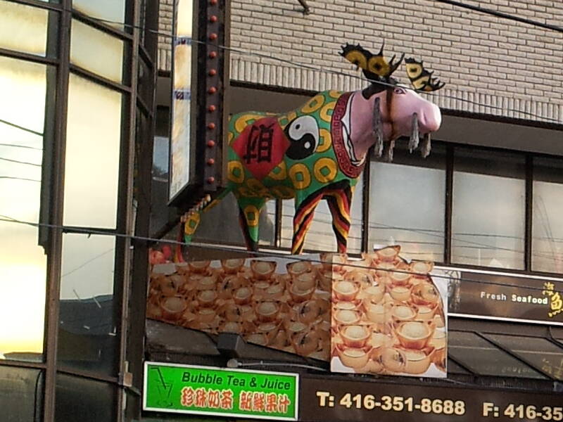 Chinese moose in Chinatown in Toronto.