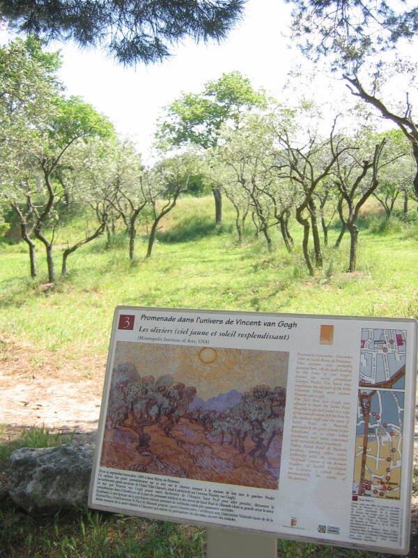 Olive orchards painted by Vincent Van Gogh at the Maison de Santé St-Paul in St-Rémy-de-Provence.