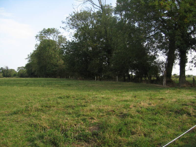 Battlefield across the small lane from Brécourt Manor, just inland of Utah Beach.  Treeline with several 105mm German gun locations firing toward the troops approaching from the D-Day landing beach.