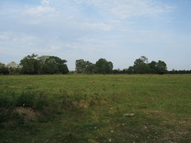 Battlefield across the small lane from Brécourt Manor, just inland of Utah Beach.  Treeline with several 105mm German gun locations to the right, machine gun posts to the left.