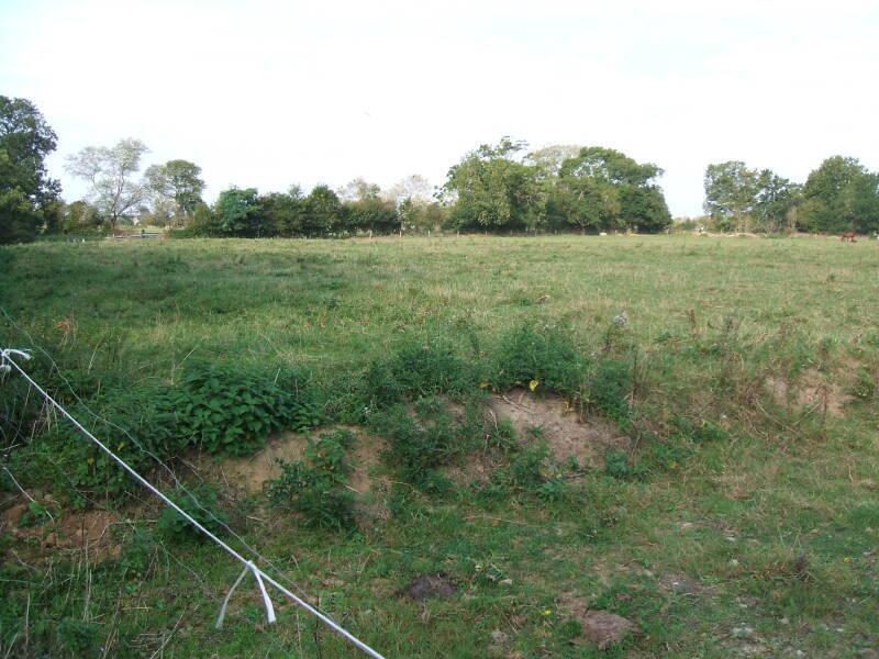 Battlefield across the small lane from Brécourt Manor, just inland of Utah Beach.  Treeline with several German machine gun posts.