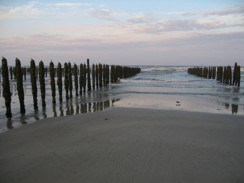 Moules-poles, mussel poles on Utah Beach.  Several long rows of a mussel farm.