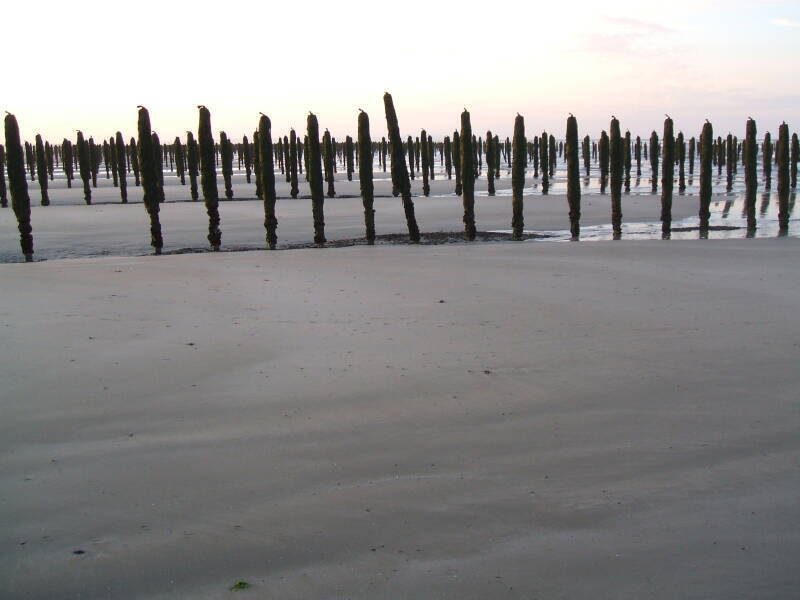Moules-poles, mussel poles on Utah Beach. Several long rows of a mussel farm.