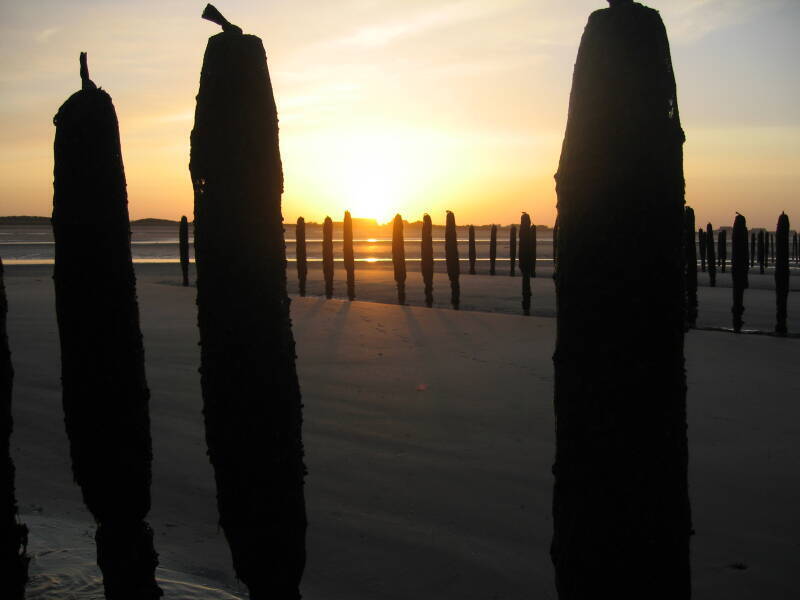 Sunset over the mussel poles on Utah Beach. The tide is rising, there are extreme tides on the Normandy coast.