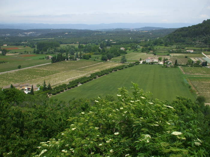 View of the Provence countryside from the village of Ménerbes, in Provence.