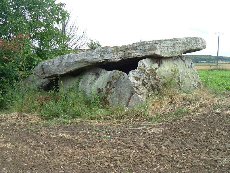 A second megalithic structure near Gennes, about 300 meters off a small road north of the D70 road, near the small village of Bouchet.