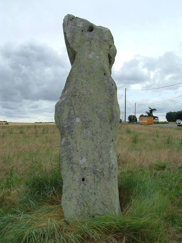 A third megalith near Gennes, on the south side of the D571 road leading east out of Gennes.