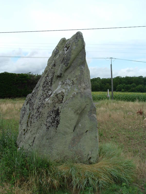 A third megalith near Gennes, on the south side of the D571 road leading east out of Gennes.