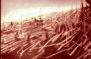 Masonic lumberyard in central Siberia