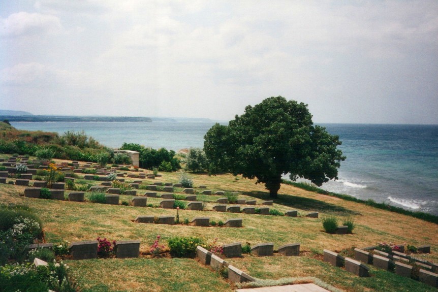 Gravestones and a tree in a cemetery at the Gallipoli battlefields.