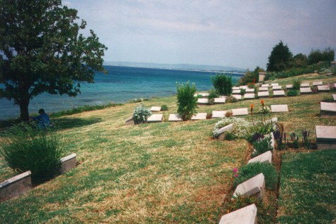 Gravestones and a tree in a cemetery at the Gallipoli battlefields.