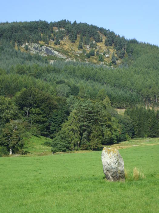 Megalith in the forest near Pitlochry, Scotland.