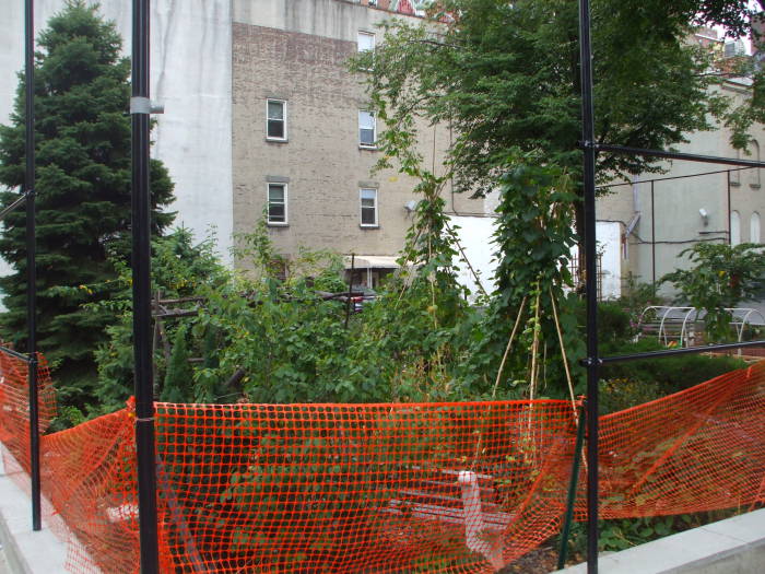 Shared garden at the corner of Stanton Street and Attorney Street.