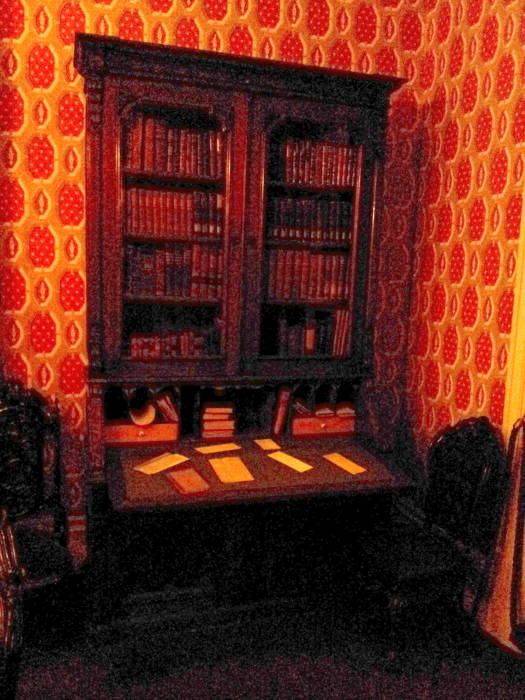 Library within Theodore Roosevelt's birthplace in New York.
