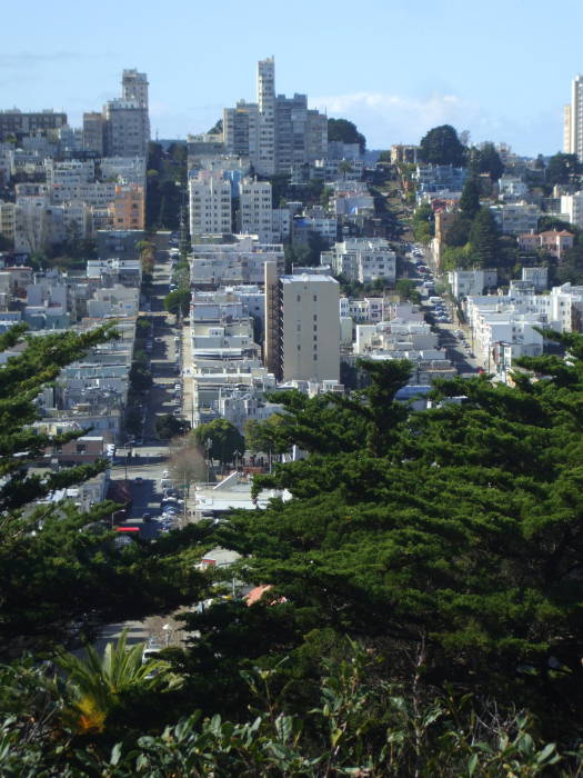 Looking toward Russian Hill from Telegraph Hill in San Francisco.