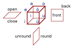 Turkish vowel harmony, front and back, open and close, round and unround vowels.